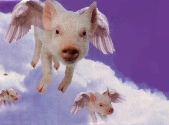 Flying_pigs