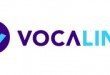 VocaLink_rgb_250x120