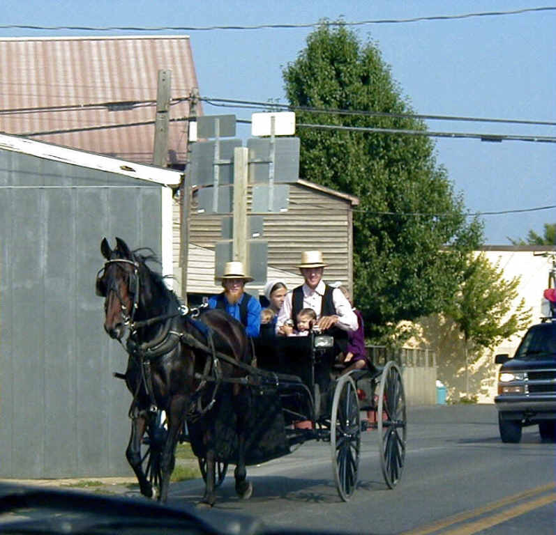 Amish-buggy