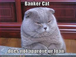 BAnk cat