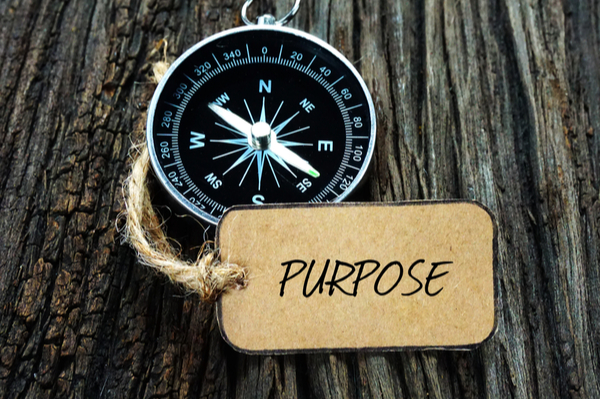 Purpose-driven banking research finds a 9% uplift in revenues - Chris Skinner's blog