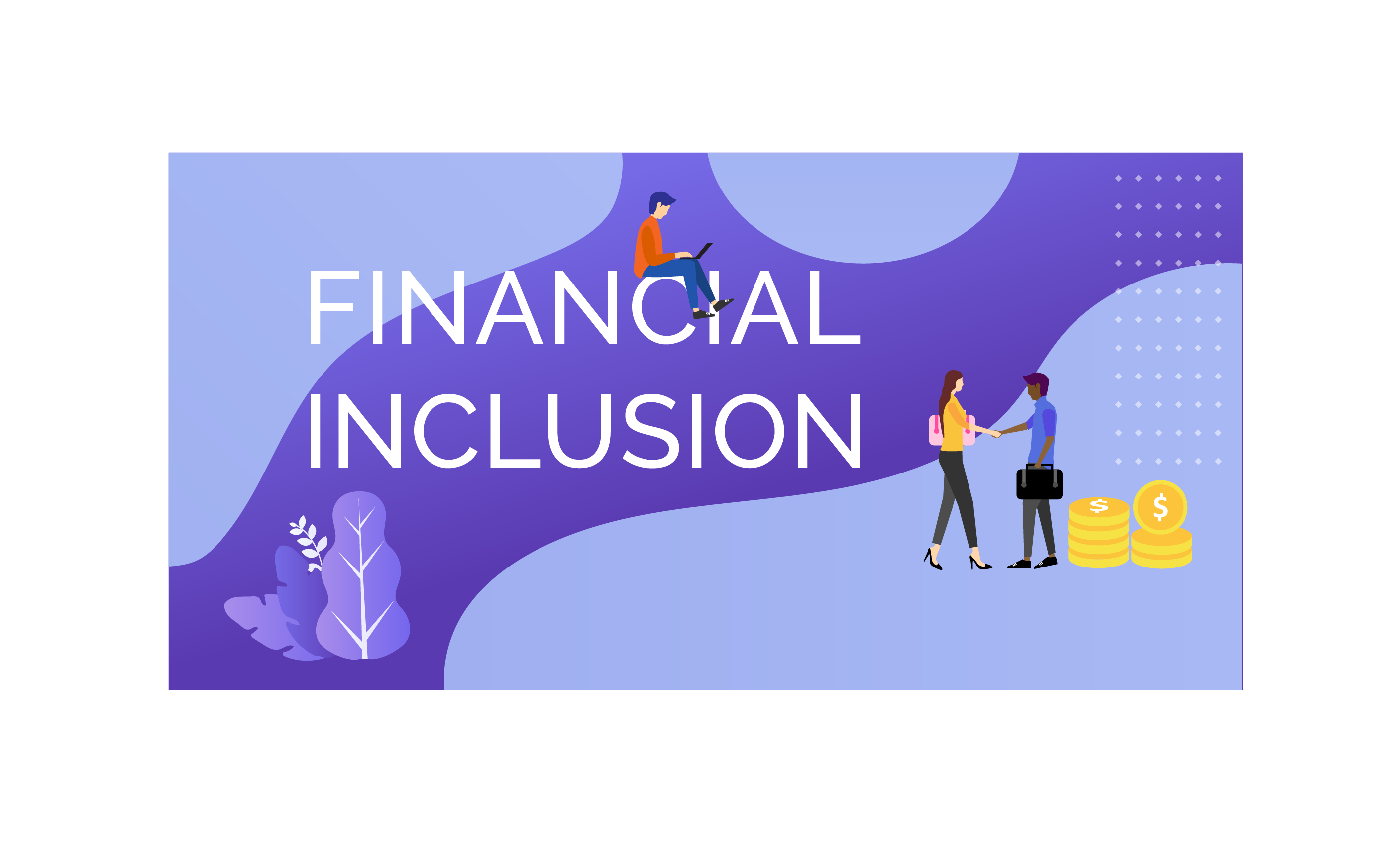 financial inclusion thesis